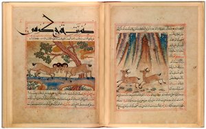 Deux gazelles et deux béliers de montagne - Unbekannt Unbekannt